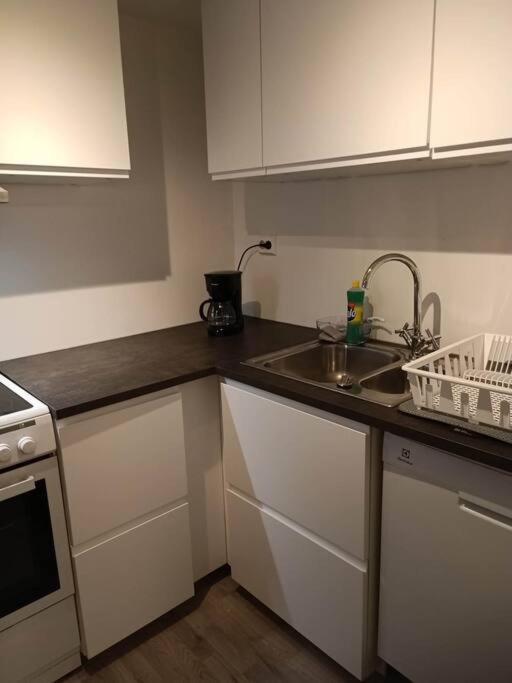 Cozy Apartment Close To Downtown ترومسو المظهر الخارجي الصورة